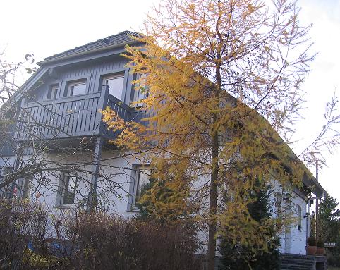 Das Haus